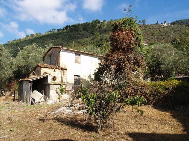 RUSTICO di 6 vani e di 200 mq (CAMAIORE - Pieve di Camaiore) rif. 187 - Foto 7