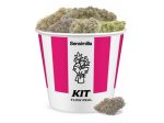 Flow Real Kit 20g