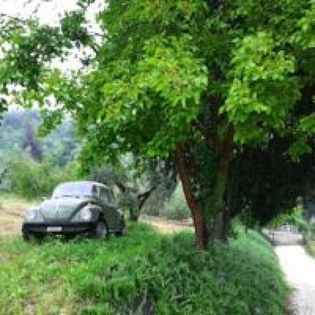 Terra di Gradara di Monti Giuseppina e C. S.a.s. - Societa' Agricola - Foto 3