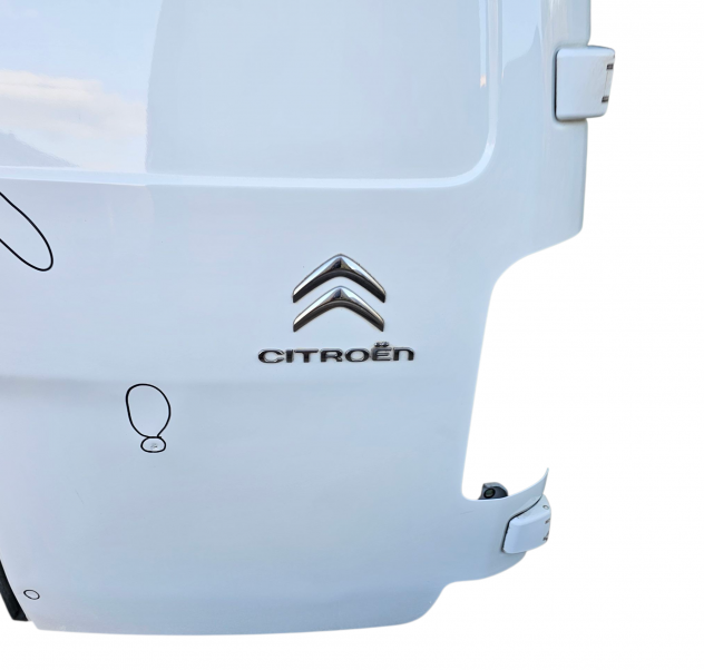 PORTA CARICO POSTERIORE A BATTENTE DX NON VETRATA CITROEN Jumpy Furgone 9811894980 (16) - Foto 11