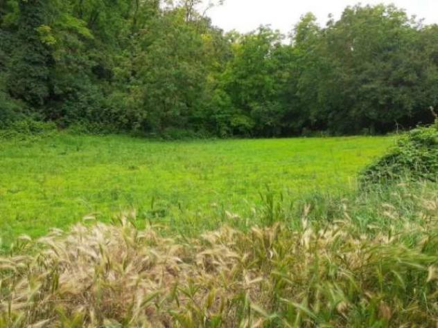 Immobile in asta di 2535 m² in vendita a Borgoratto Mormorolo - Foto 4