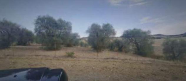 Immobile in asta di 324246 m² in vendita a Grottole - Foto 6