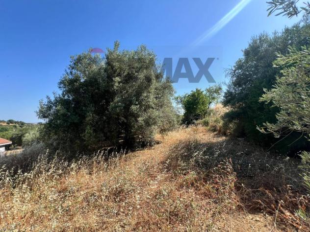 Terreno in vendita a Motta Sant'Anastasia - Foto 20