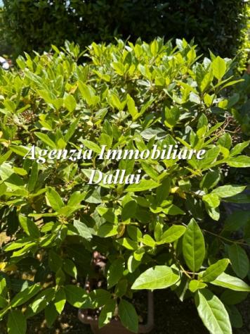 Scarperia - Monofamiliare con giardino e posti auto - Foto 7