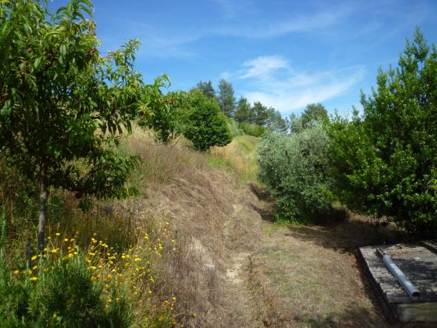 Terreno agricolo in vendita a Chiecinella - Palaia 9000 mq Rif: 455004 - Foto 5