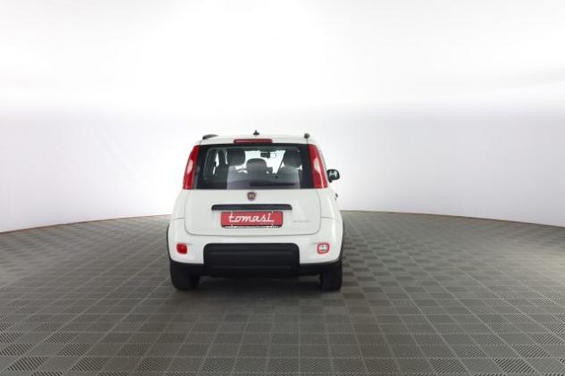 FIAT Panda Panda 1.0 FireFly Hybrid City Life rif. 23730428 - Foto 5