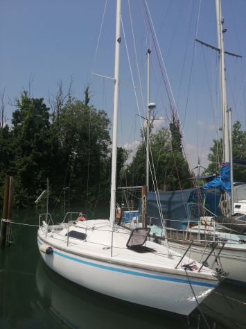 Barca ⛵ - Foto 3