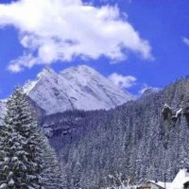 Dolomites Inn - S.a.s. di Mazzel Lucia e C. - Foto 4