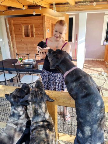 Coaching e consulenze Cane Corso