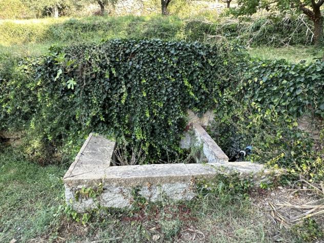 Terreno edificabile in vendita a Casale Marittimo - Foto 13