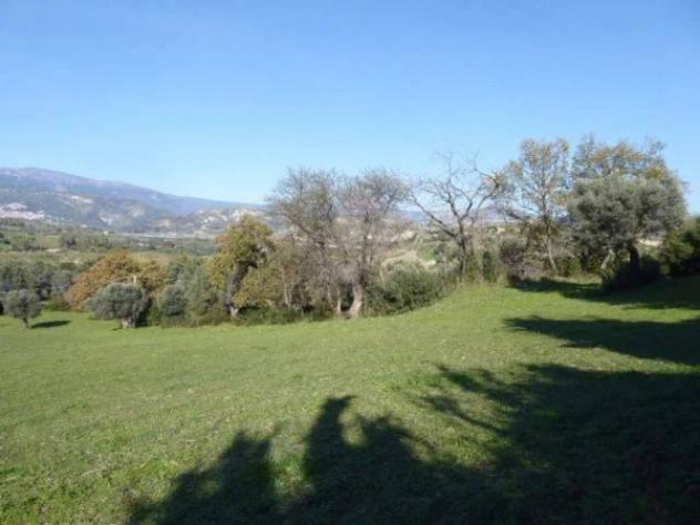 Immobile in asta di 6430 m² in vendita a Casignana - Foto 10