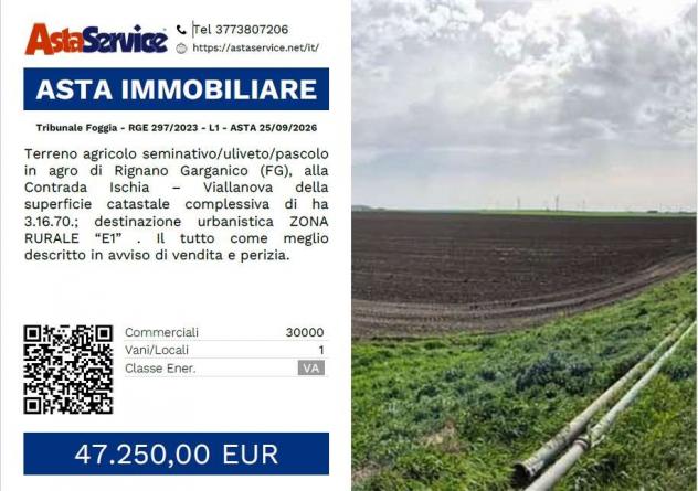Tribunale Foggia - RGE 297/2023 - L1 - Tribunale Foggia - RGE 297/2023 - L1 - ASTA 25/09/2026