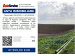 Tribunale Foggia - RGE 297/2023 - L1 - Tribunale Foggia - RGE 297/2023 - L1 &hellip;