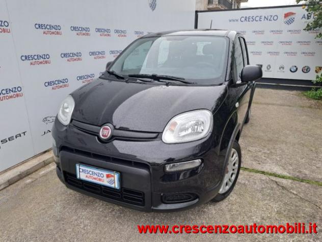 FIAT Panda 1.0 FireFly S&S Hybrid Pandina - AZIENDALE rif. 23794277