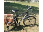 Bicicletta Elettrica Atala Element - Pronta per Nuova Vita! + Borse