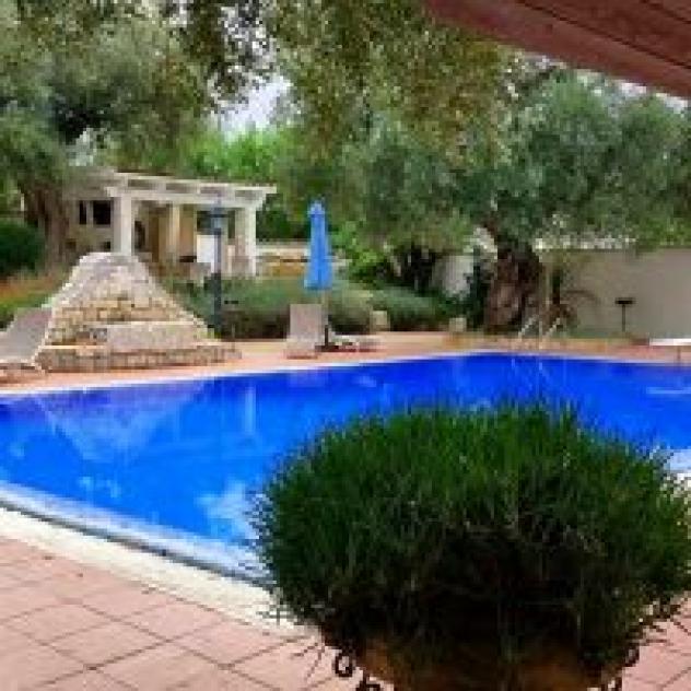 B&B Antico Ulivo
