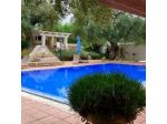 B&B Antico Ulivo
