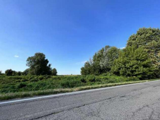 Immobile in asta di 14236 m² in vendita a Isola della Scala - Foto 8