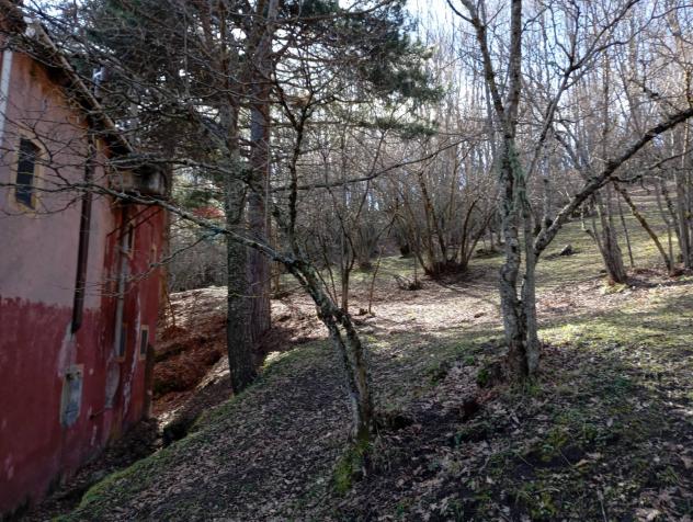 Terreno in vendita a Santa Domenica Vittoria - Foto 19