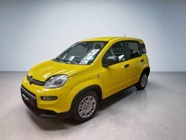 FIAT Pandina Pandina 1.0 firefly hybrid Icon s&s 65cv - Foto 7