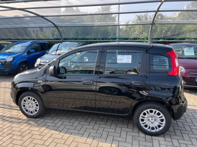 FIAT Panda Pandina 1.0 firefly hybrid Icon s&s 65cv 5p.ti - Foto 6