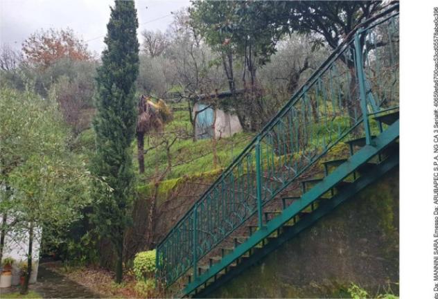 Immobile in asta di 110 m² in vendita a Carrara - Foto 3