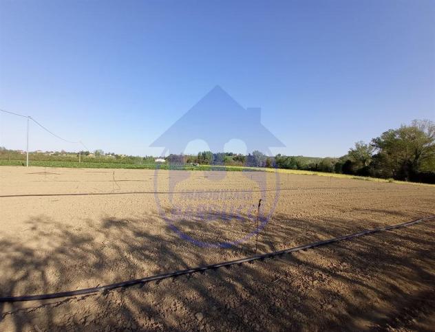 Cervia terreno agricolo - Foto 3