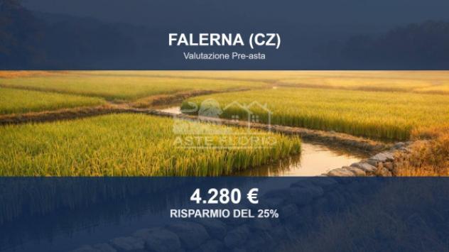 Immobile in asta di 24835 m² in vendita a Falerna