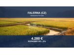 Immobile in asta di 24835 m² in vendita a Falerna