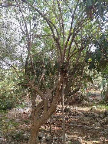 Terreno in vendita a Siracusa, Belvedere - Foto 10