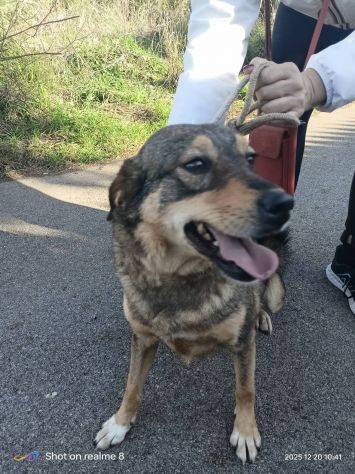 Luna - Foto 2