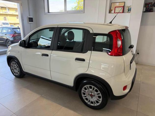FIAT Panda 1.0 FireFly S&S Hybrid rif. 24203036 - Foto 8