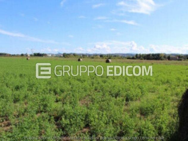 Fabbricati per attività agricole in vendita a Cesena - Rif. 4552648 - Foto 11