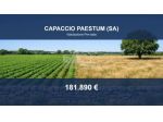 Immobile in asta di 120 m² in vendita a Capaccio Paestum