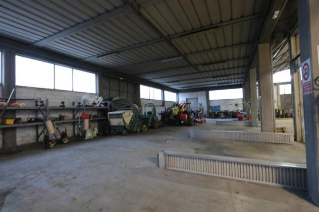 Capannone industriale in vendita a Navacchio - Cascina 700 mq Rif: 1225968 - Foto 2