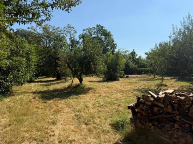 Immobile in asta di 35378 m² in vendita a Castelverde - Foto 2