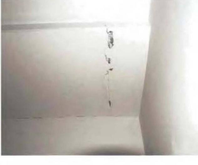 Immobile in asta di 52 m² con più di 5 locali in vendita a Terni - Foto 10