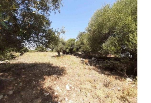 Immobile in asta di 65302 m² in vendita a Melilli - Foto 5