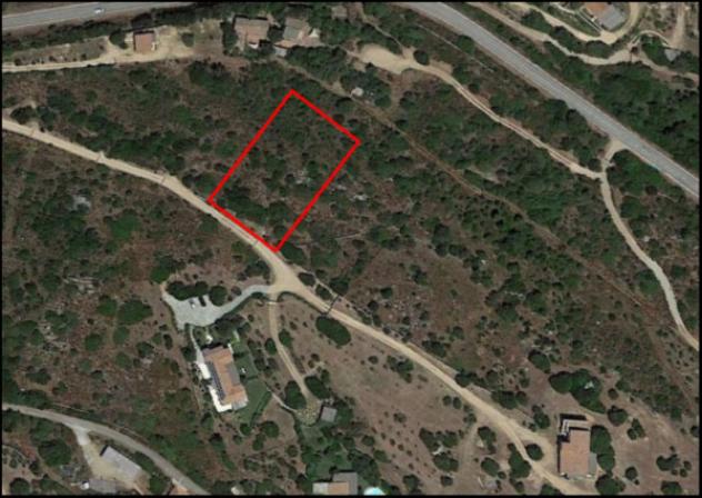 Immobile in asta di 2270 m² in vendita a Olbia - Foto 12