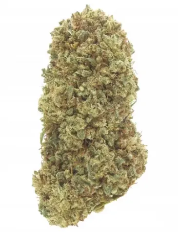 Lemon Haze