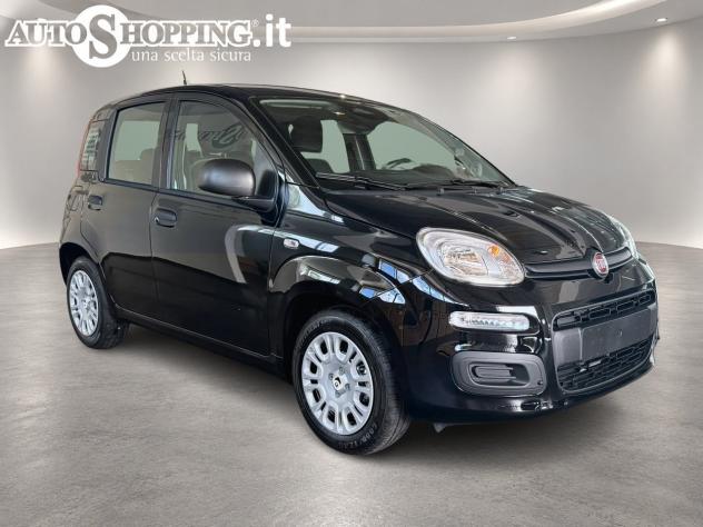 FIAT Pandina Panda III 1.0 firefly hybrid Icon s&s 65cv 5p.ti - Foto 3