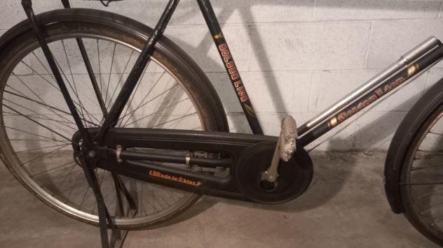Bicicletta Golden Lion - Foto 5