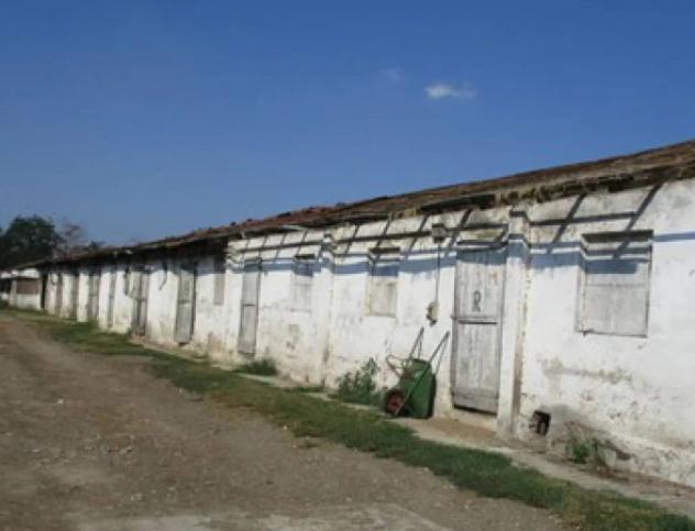 Immobile in asta di 7899 m² in vendita a Pieve del Cairo - Foto 9