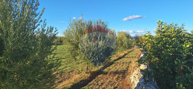 Terreno in vendita a Rosolini - Foto 10
