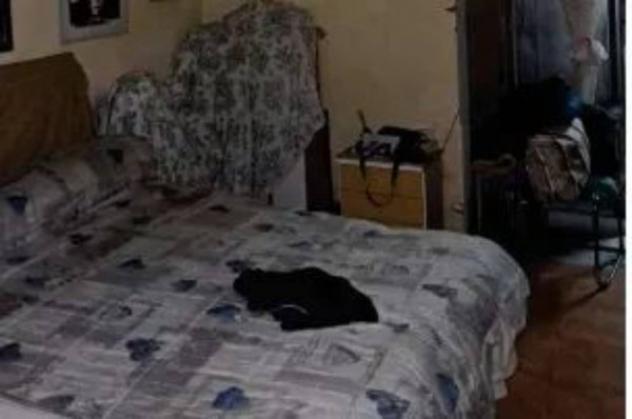 Immobile in asta di 81 m² in vendita a Brolo - Foto 4