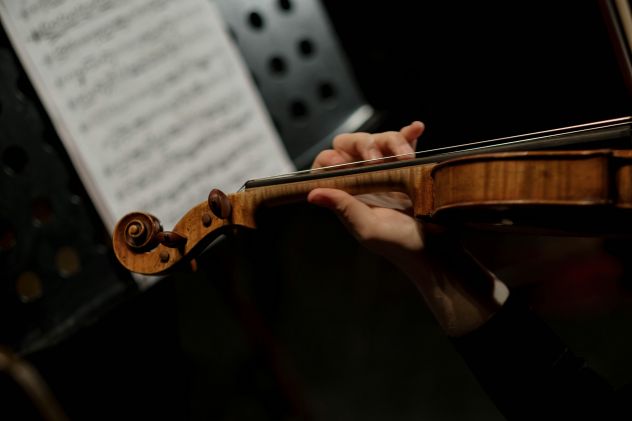 Violinista professionista a Como