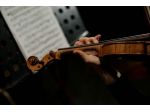 Violinista professionista a Como