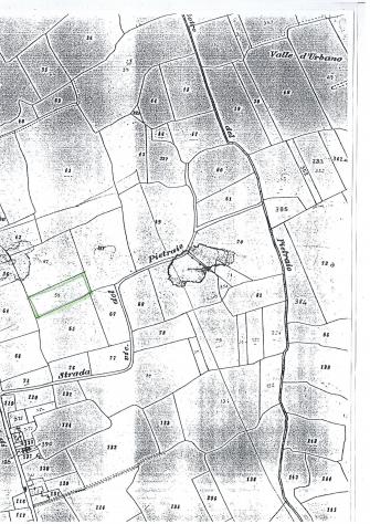 Terreno agricolo in vendita a Capannoli 2000 mq Rif: 1250122