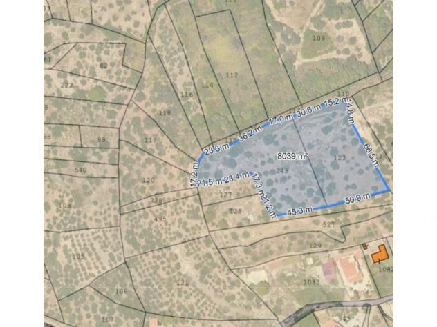 Agricolo di 8055mq
