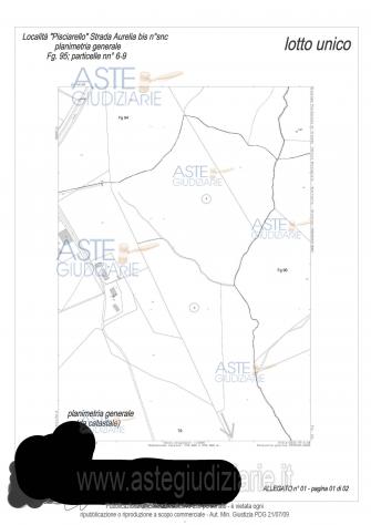 IMMOBILI-ALTRA CATEGORIA-località pisciarello strata statale aurelia bis - Foto 2